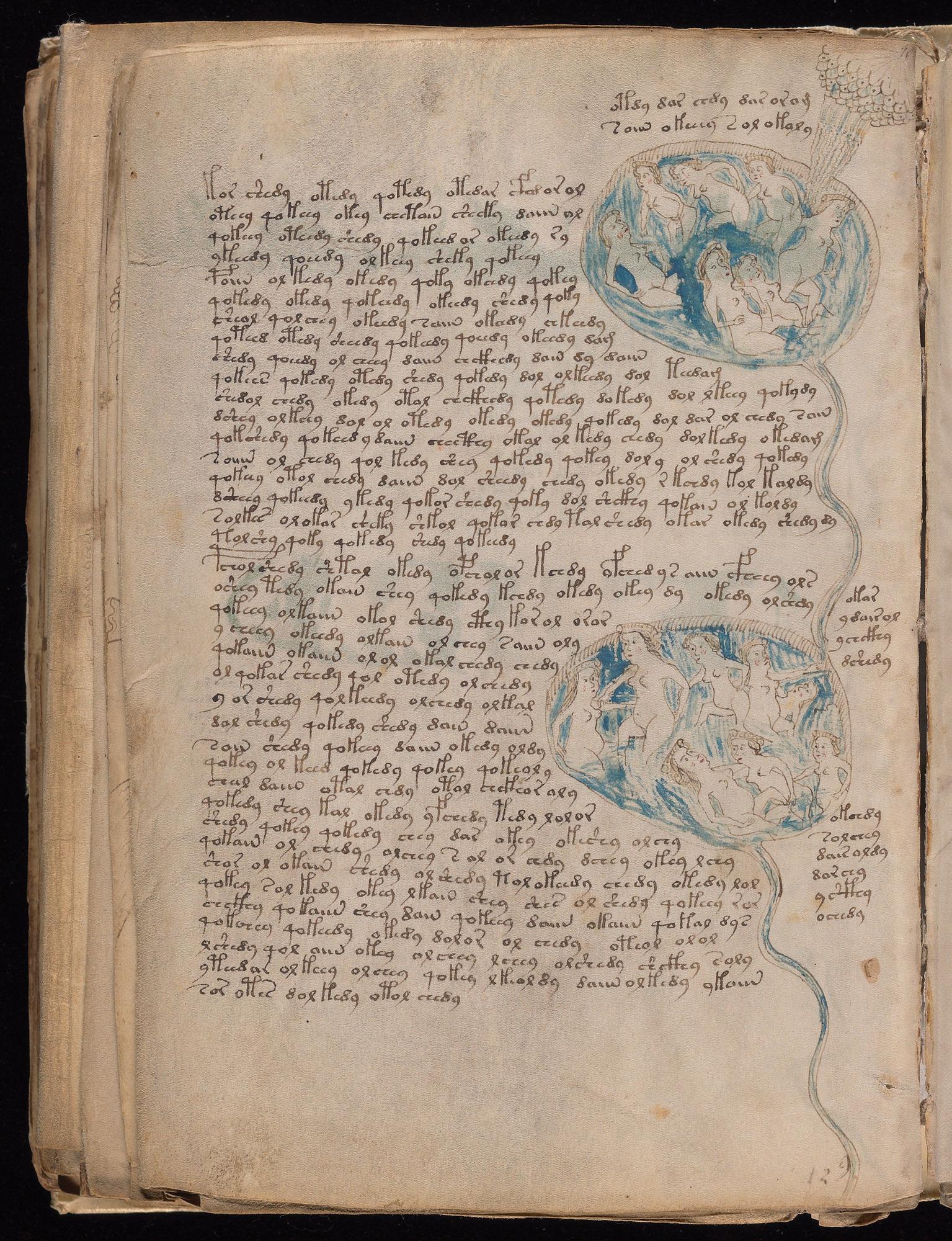 Voynich Manuscript folio f84v — Beinecke MS 408